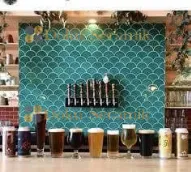 Fish Scale Ceramic - 0038